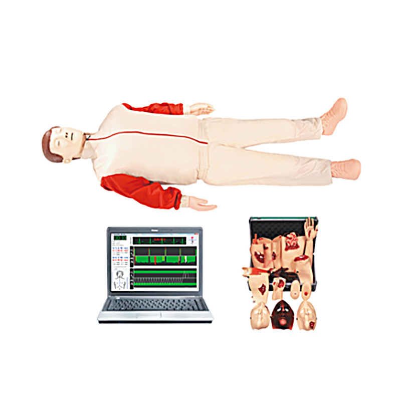 Famatsiana Defibrillation Cardiopulmonary Resuscitation